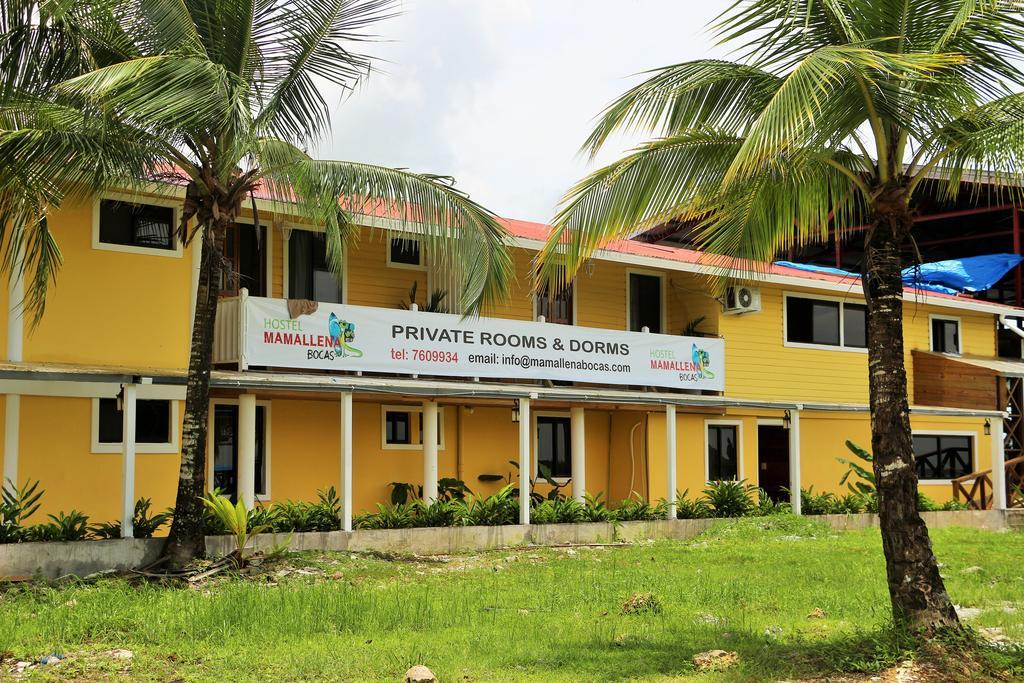 Hostel Mamallena Bocas Del Toro (Adults Only) Eksteriør bilde