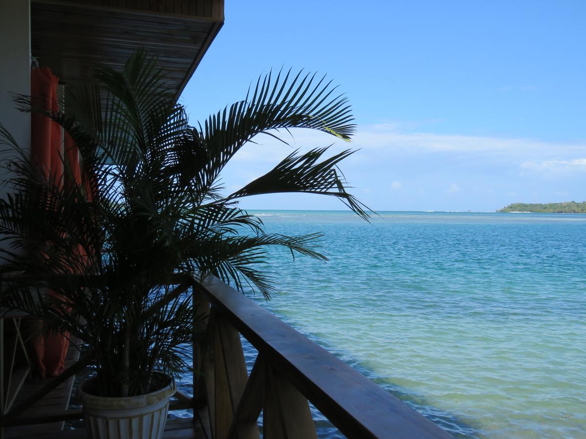 Hostel Mamallena Bocas Del Toro (Adults Only) Eksteriør bilde