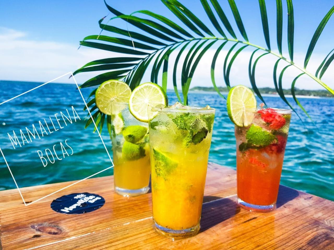 Hostel Mamallena Bocas Del Toro (Adults Only) Eksteriør bilde